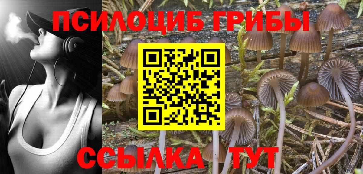 Сызрань  Галлюциногенные грибы MAGIC MUSHROOMS  Галлюциногенные грибы ЛСД  Вход с VPN 